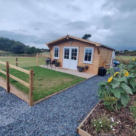 Bumble Bee Cabin Bootle  외부 사진