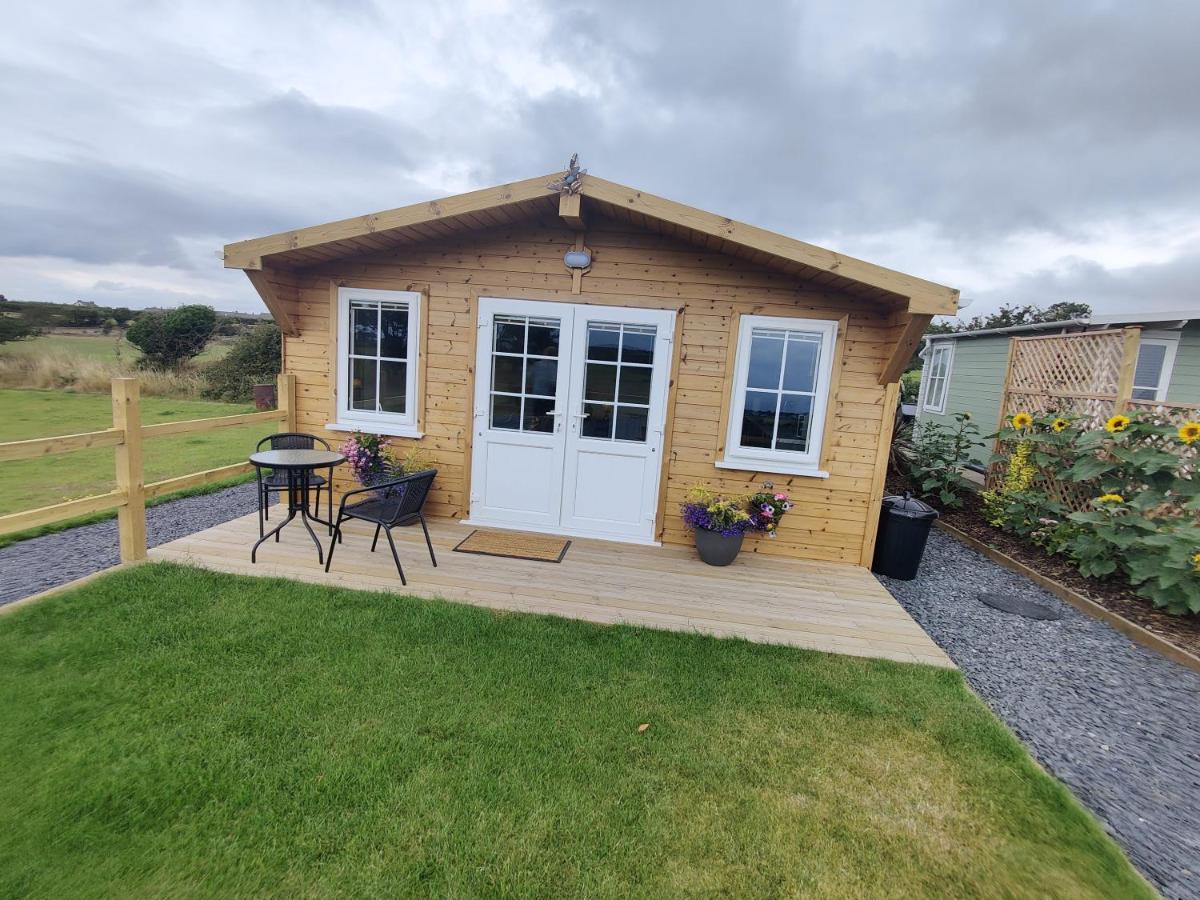 Bumble Bee Cabin Bootle  외부 사진
